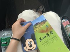 -关山草原