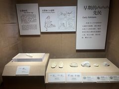 -烟台市博物馆