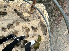 -科罗拉多大峡谷