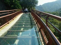 -少华山国家森林公园