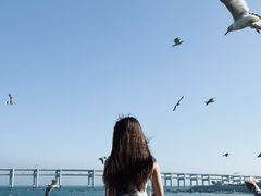 -黑石礁公园