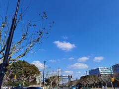 -瓷忆·瓷文化餐厅(上海店)