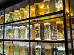 -广东中医药博物馆