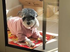 -关爱宠物医院·猫科中心·消化科(滨湖万达分院)