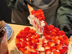 -O'eat Blossom&Pelican(深圳首店)