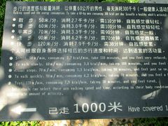 游乐设施-广州珠江公园