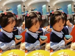 -帝企鹅自助餐厅•儿童岛•真企鹅(长隆企鹅酒店)