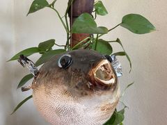 -天正河鲀·河豚亭(大连店)