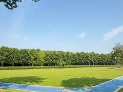 -宜兴龙背山森林公园