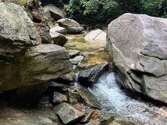 -鼎湖山风景区
