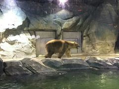 -临沂极地海洋王国
