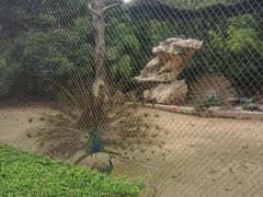 -南昌动物园