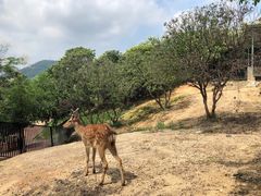 -泉州海丝野生动物世界