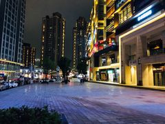 -桃花沅火锅(长嘉汇江景店)