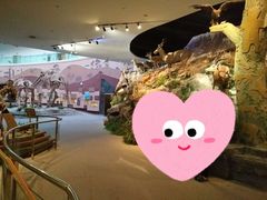 -陕西自然博物馆