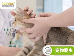 -美联众合动物医院·24h转诊中心