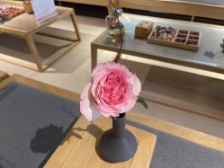 -FineYoga梵音瑜伽·普拉提