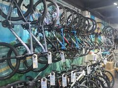 -GIANT捷安特自行车专卖店(金桥台儿庄路店)