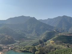 -龙坞茶村