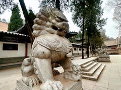 -兴教寺