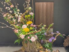 -隅焰·三生三味·手作川菜(金沙天街店)