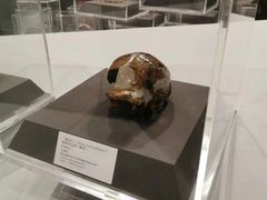 -北京周口店北京人遗址博物馆