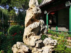 -白家大院·王府宫廷菜(苏州街店)