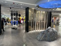 -ARC'TERYX始祖鸟(北京王府中环店)
