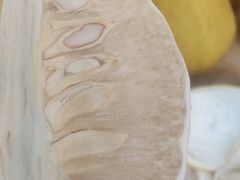 -始于2011柳周农家菜沙田柚美食店(东大街店)