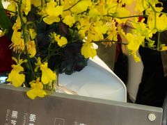 -双风车咖啡馆 Twin Windmills(六道口店)
