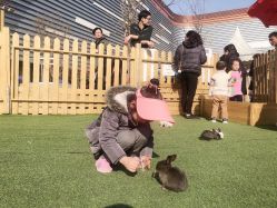 -萌宠亲子动物乐园(槐房万达店)