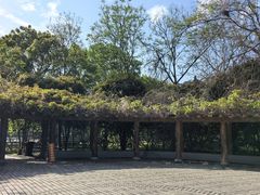 -南汇桃花村