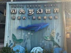 -贝壳梦幻世界