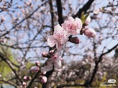 -渤公岛生态公园