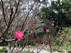 -广州市白云山风景名胜区
