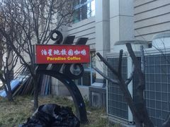 -泊星地咖啡馆(北京大学家园店)
