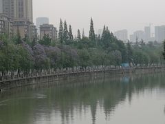 -成都市活水公园