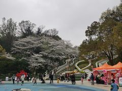 -杭州少年儿童公园
