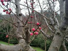 -贵阳市花溪国家城市湿地公园