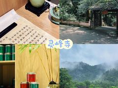 -阿露佳·舌尖上的安吉菜