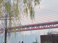 -重庆市江北嘴中央商务区中央公园