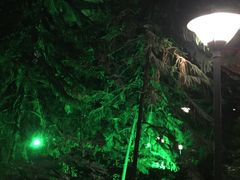 -御龙温泉度假村