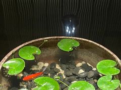 -曲水兰亭(北京四惠店)