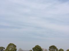 -无忧学车·大众驾校(长宁校区)