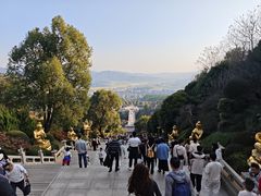 -庐山风景名胜区-东林大佛