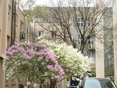 -北京理工大学(中关村校区)
