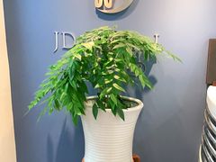 -精德口腔·种植修复·儿牙中心(财富中心店)