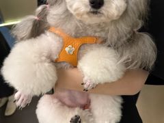 -木兰逸•泰式按摩•头疗•SPA(车公庙店)