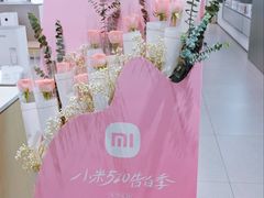 -小米之家(世博源店)