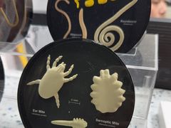 -半岛宠物医院24小时(白果林店)